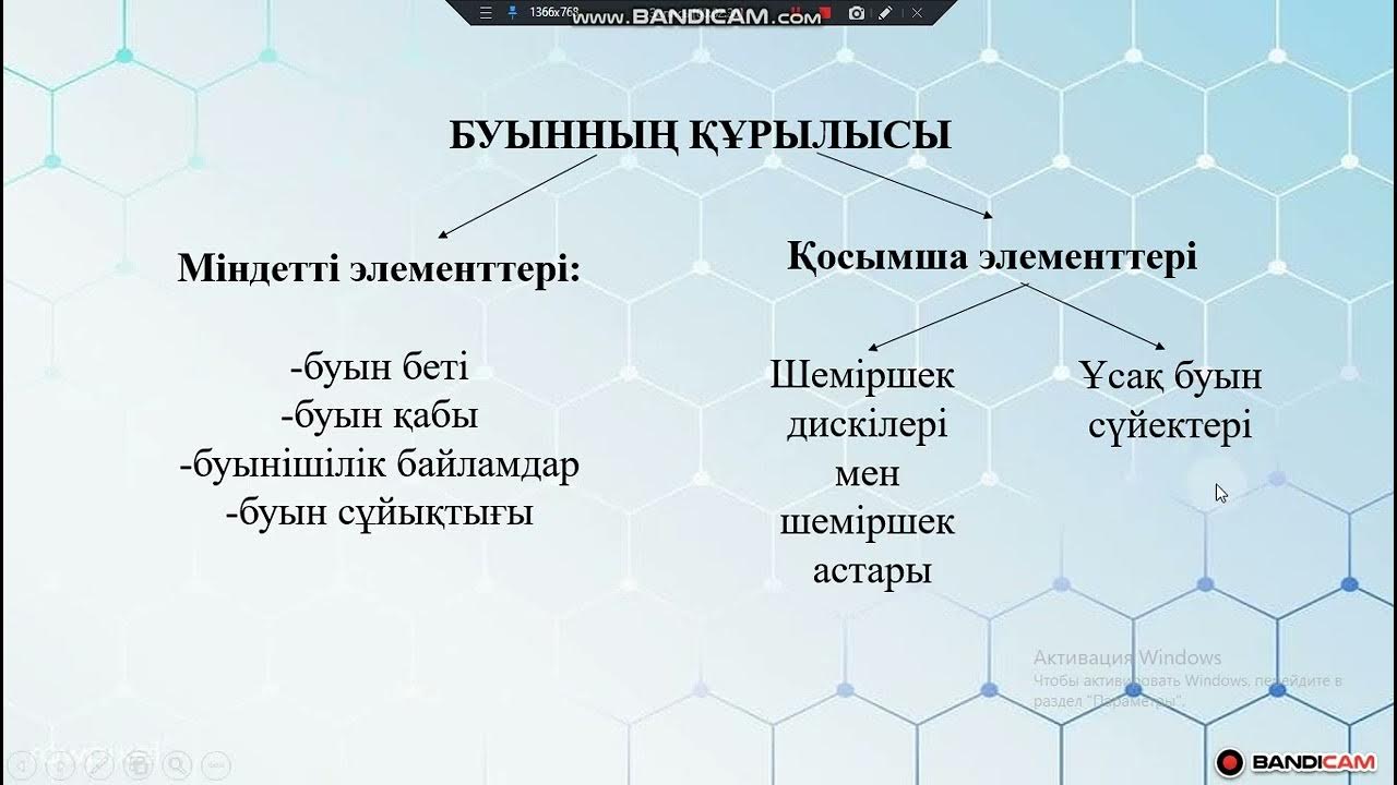 Рязаньда жезөкшелер қайда тұрады? Қыздықтағы клиторлық оргазм