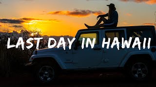 Hiking in Kauai: Awa'awapuhi Trail by Mark Johansson 1,536 views 5 years ago 8 minutes, 13 seconds