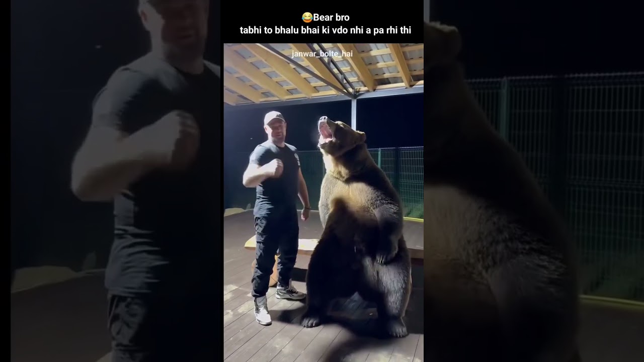 Animal dubbing in hindi 