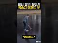 벌타 받기 싫었던 한 골퍼의 처참한 최후ㅋㅋ #골프
