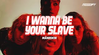 Måneskin - I WANNA BE YOUR SLAVE (sub. español + lyrics) - YouTube