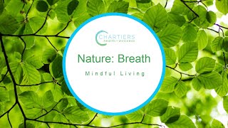 Mindful Living: Nature Breath