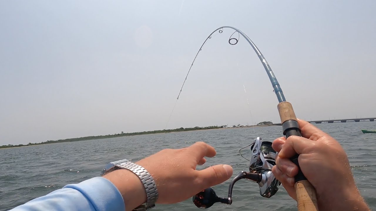 Fluke After FLUKE (Flounder) in the Back Bay! NYC Kayak Fishing YouTube