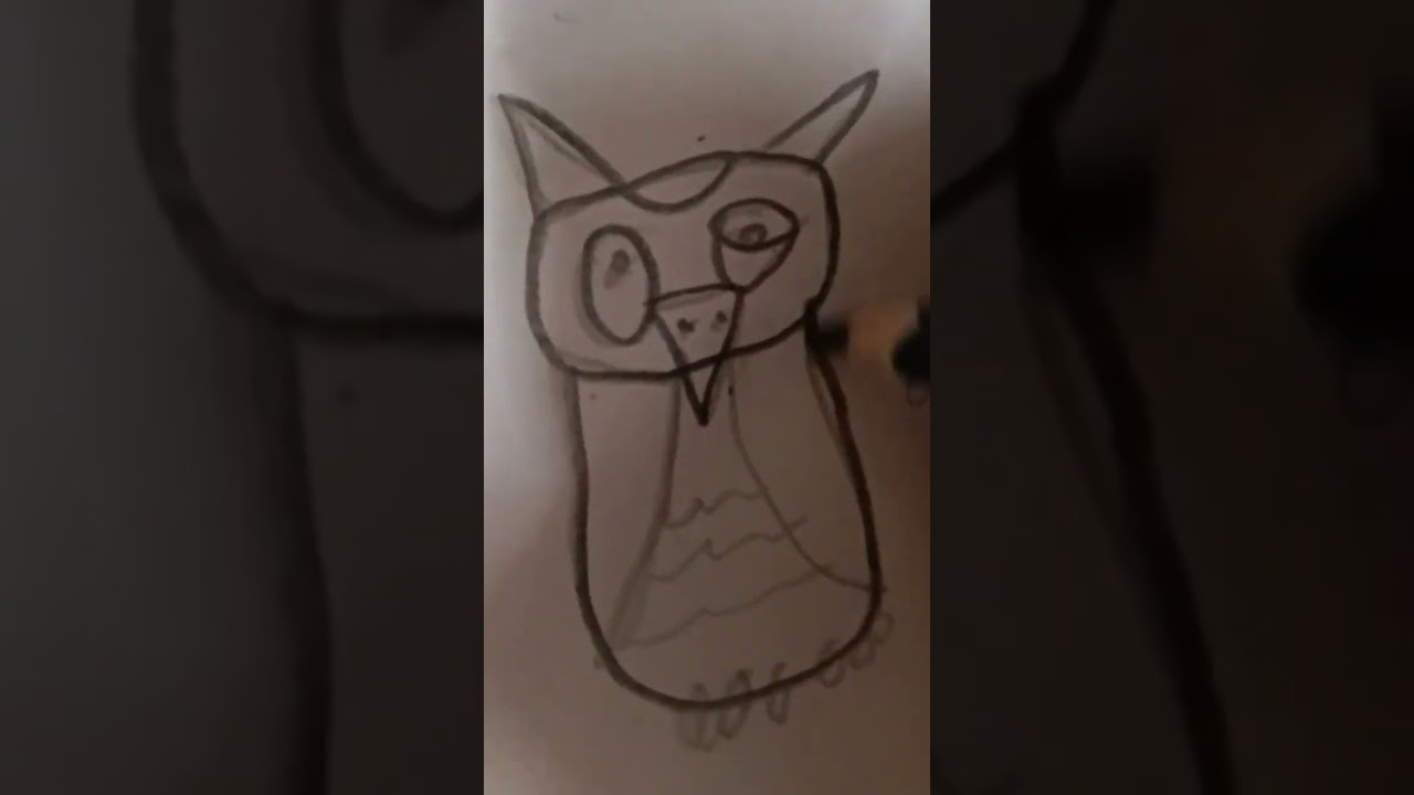 cartoon owl drawing