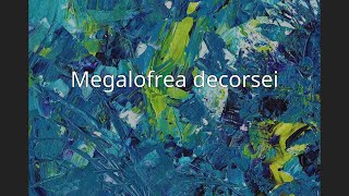 Megalofrea decorsei