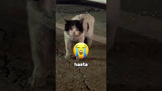 Bu Terk Edilmiş Çiftlik Evini Görürsen, Sakın İçeri Girme