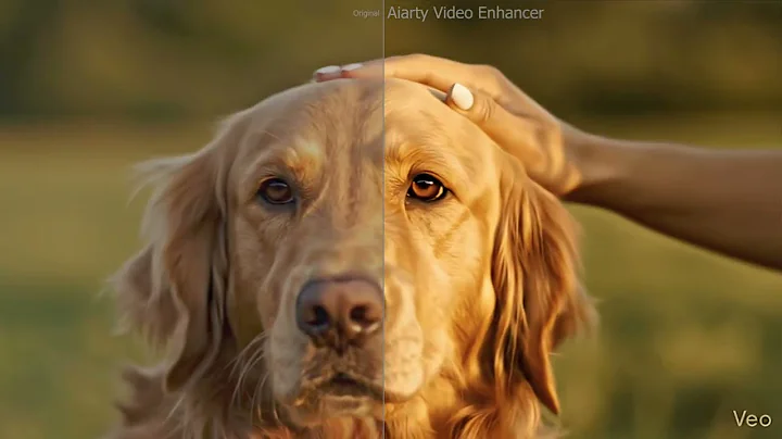AI Video Upscaling Test: Transforming Animal Clips to 4K with Aiarty Video Enhancer