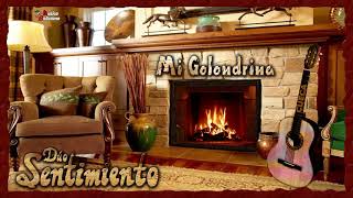 Video thumbnail of "Duo Sentimiento / Mi Golondrina"