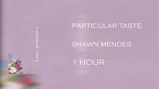 Shawn mendes - Particular Taste [ 1 HOUR ]