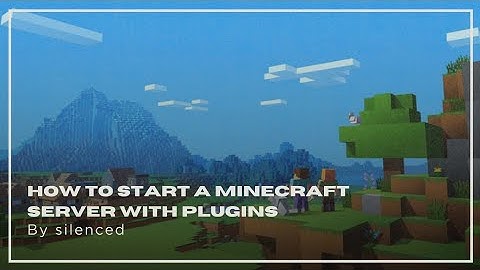 How to start a Minecraft Server with Plugins