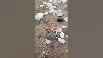 دفين تركي جرن كنوز دفين إشارات اشتراك بالقناة الاردن المغرب الجزائر كنز السعودية جرون 