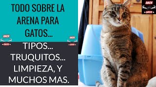 Arena para GATOS 🙀tipos, truquitos, limpieza y mucho mas...