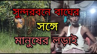 সুন্দরবনে বাঘের গল্প||Sundarban  Tiger Story||সুন্দরবন ও বাঘ ||সুন্দরবন ভ্রমনের অভিজ্ঞতা || screenshot 5