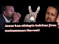 ODUU AMEE Jawar mohammed  mottummaan Ethiopia  yaroo amma kaa bulchaa jiruu akka Harreeti jechun