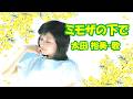 太田裕美 / ミモザの下で