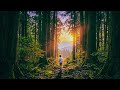 Breath by breath / 野見山正貴 ミュージック・ビデオ #オリジナル曲#newsong #singersongwriter #viral