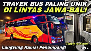 The Most Unique Bus Route on the Cross of the Gods 😱 Automatically Crowded with Passengers ❗️| Nu...