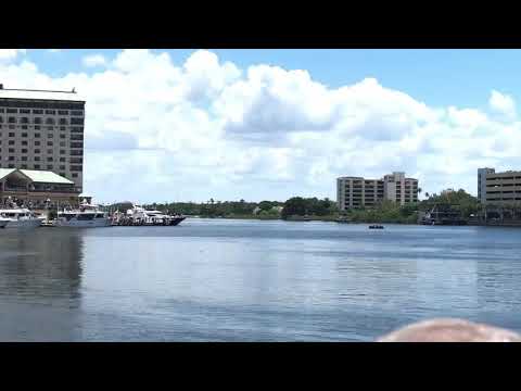 Helicopters deploying Special Forces onto Tampa Bay Hospital Rooftop during 2018 Demonstration