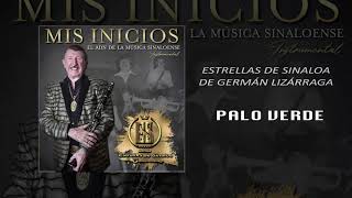 Estrellas de Sinaloa - Palo Verde 🌳  | INSTRUMENTAL