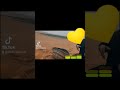قعدة في صحراء اليزي