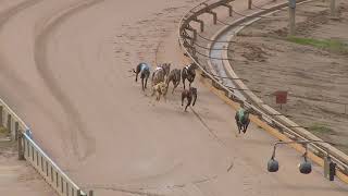 SHP THU 03 JUN 21 R8