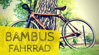 BAMBUS-Fahrrad | TEST | Trip with a Bamboo-Bike! #BambooBike | Max GREEN