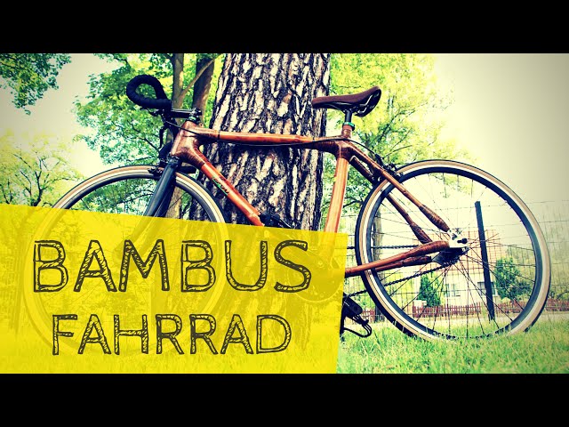 BAMBUS-Fahrrad | TEST | Trip with a Bamboo-Bike! #BambooBike | Max GREEN  - YouTube