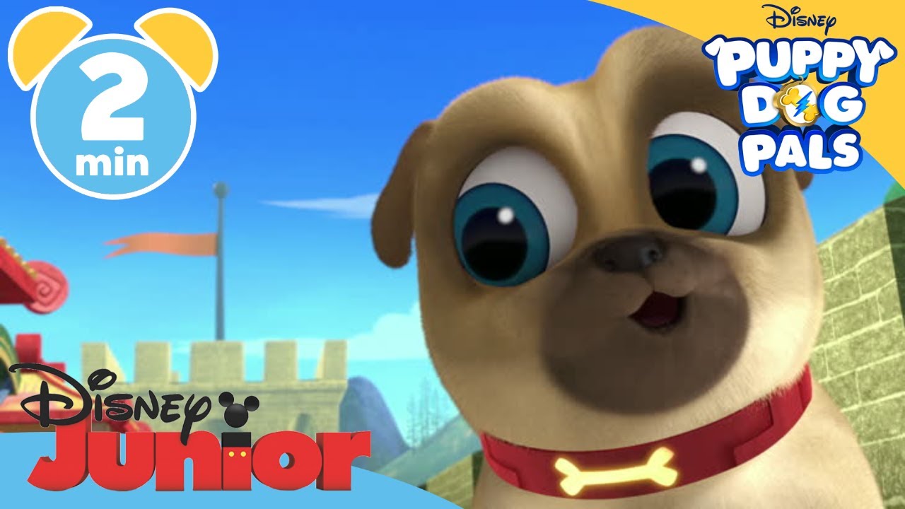 Bob Loves Mona - Puppy Dog Pals - Clip
