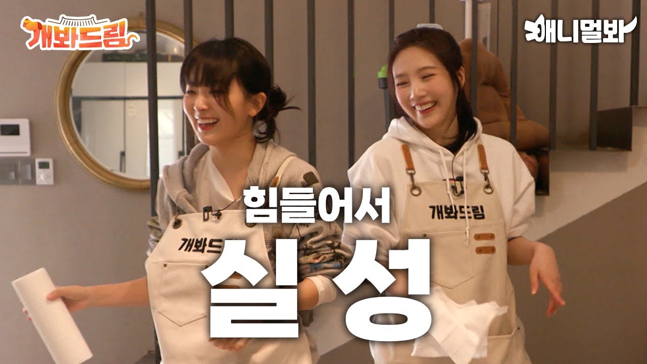 Напряженный день для Джой и Сыльги, заботящихся об 11 разных собачках