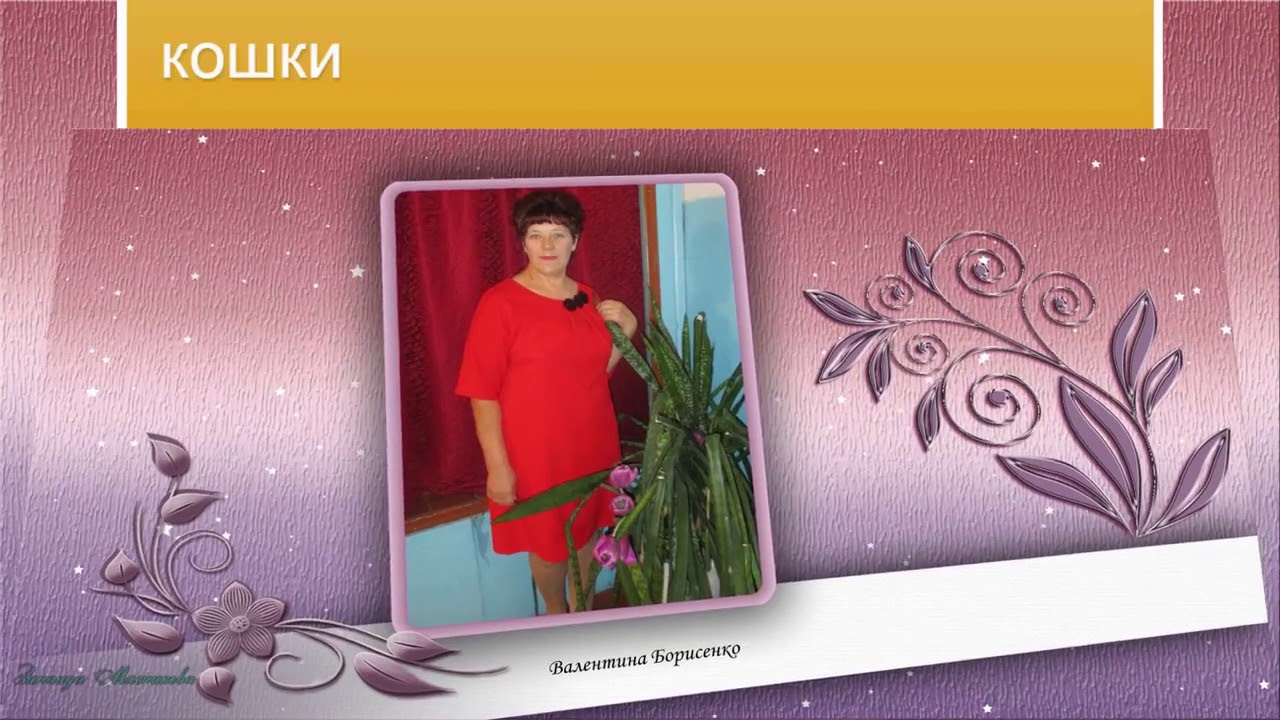 Блоги Октябрь 2017 из выпускного.