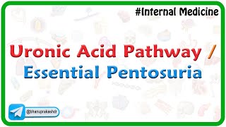 Uronic Acid Pathway / Essential Pentosuria : Medical Biochemistry by Dr G Bhanu Prakash