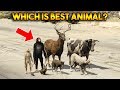 GTA 5 ONLINE : WHICH IS BEST ANIMAL?