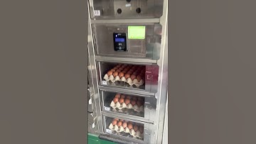 🥚Effortless Convenience: An Automated Machine for Self-Service Egg Sales 🇳🇱