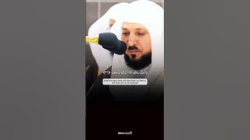 كل مُكرّر مملول إلا القرآن، فإنه كلما كُرِّرَ حلا! بصوت الشيخ #ماهر_المعيقلي من سورة الأنعام✨❤️