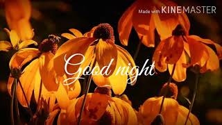 good night video for you, good night images photos pics wishes download now screenshot 2