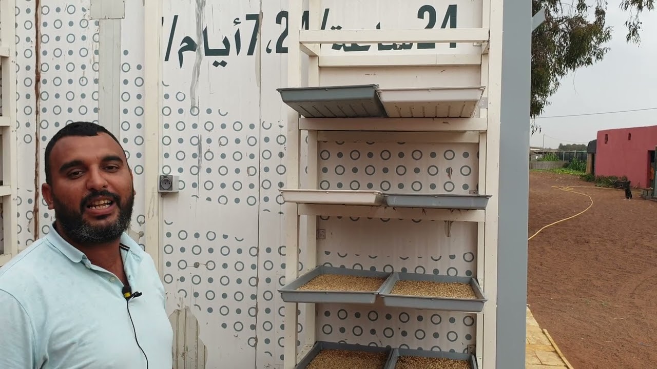 بيوت إستنبات الشعير لتفادي غلاء العلف