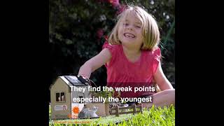STEM Educational Kits | Curriculum Linked | Sustainable | Proudly Australian