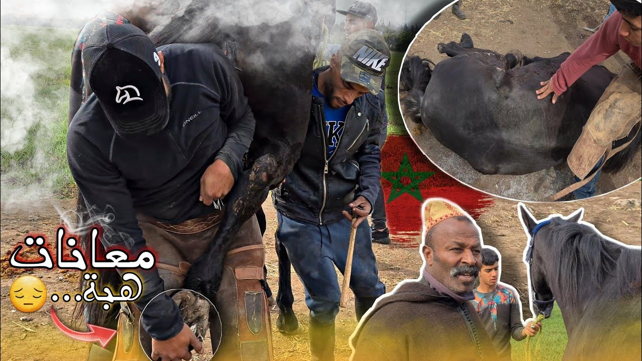 نهار تغير صفيحة مع محبوبة الجماهير هبة عماد حفظوا الله هو و هبة 😱 .... واش كين شي تغير ولا والوا 🤔