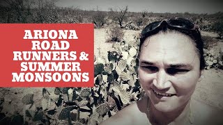 Arizona Road Runners and Thunderstorms.
