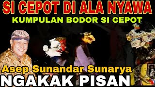 Download lagu SI CEPOT DI ALA NYAWA!!! BODOR WAYANG GOLEK SI CEPOT PIKASEURIEUN PISAN [ASEP SUNANDAR SUNARYA] RAME