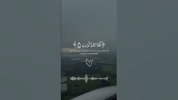 أكتب شيئ تؤجر عليه❤️ #اكسبلور #المصحف #لايك #حالات_واتس #راحة_نفسية #عبدالرحمن_مسعد #ترند #تلاوة