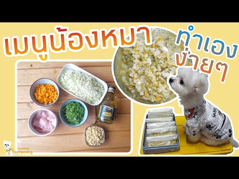 อาหารสุนัขทำเองง่ายๆ By แม่กฐิน  |อาหารสุนัขHomemade  |เมนูน้องหมา |KathinTempledog |กฐินหมาดุ