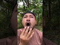 Survival: Useful And Clever in Forest.