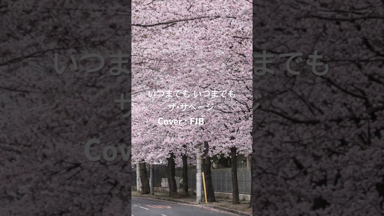 いつまでもいつまでも　/ザ・サベージ　【カバー】　FJB #cover #カレッジフォーク