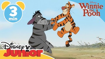 The Mini Adventures of Winnie the Pooh | Tigger and Eeyore | @disneykids