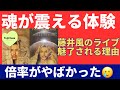 何度も行きたくなる「魔法」の正体、藤井風のライブ情報をお届けします