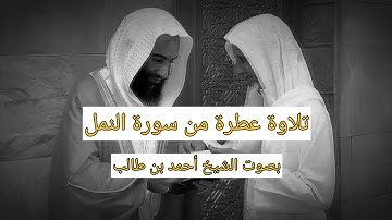 تلاوة عطرة من سورة النمل بصوت الشيخ أحمد بن طالب