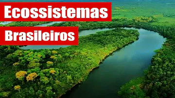 Qual maior ecossistema do Brasil?