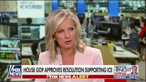 Homan Calls Out Pelosi: 'Study the Issue,' ICE Doe...