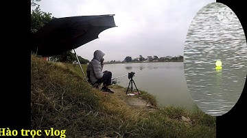 🥰🥰Câu Lục 💯 1 buổi đi câu giật cháy lông nách được 1 con😭😭